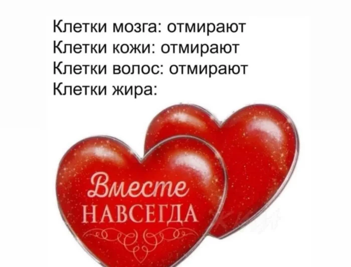 Нестандартный юмор #474 Нестандартный юмор #474