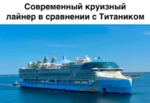 Нестандартный юмор #493