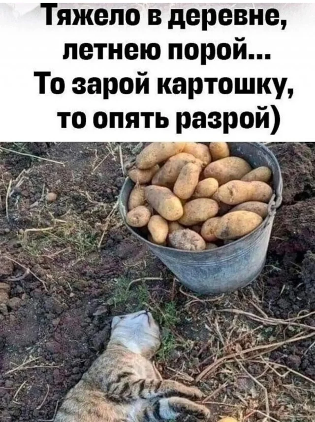 Классные приколы