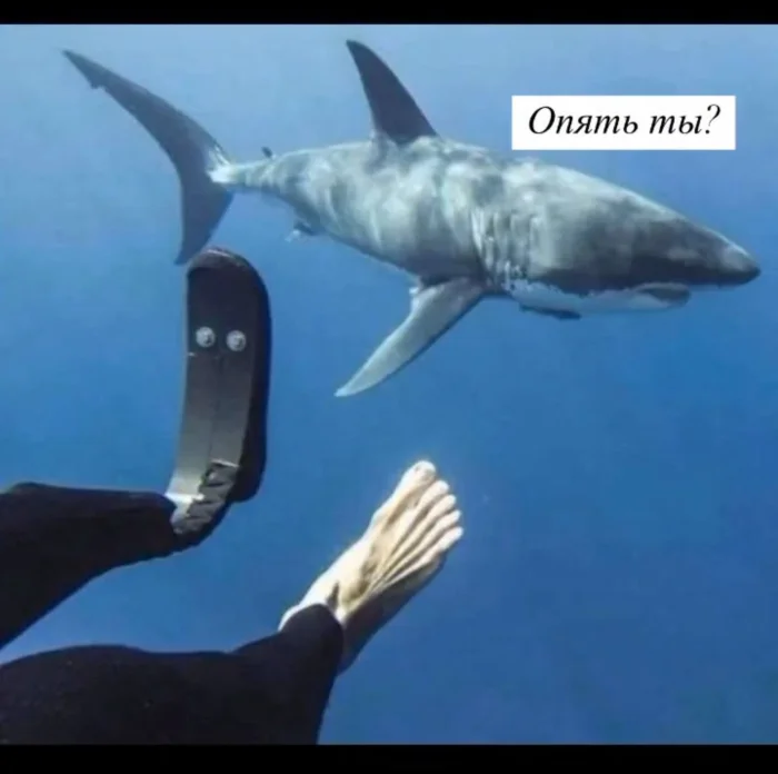 Нестандартный юмор #490 Нестандартный юмор #490