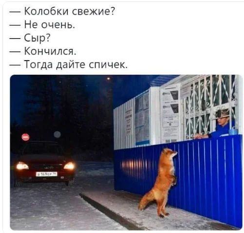 Мемные деградашки