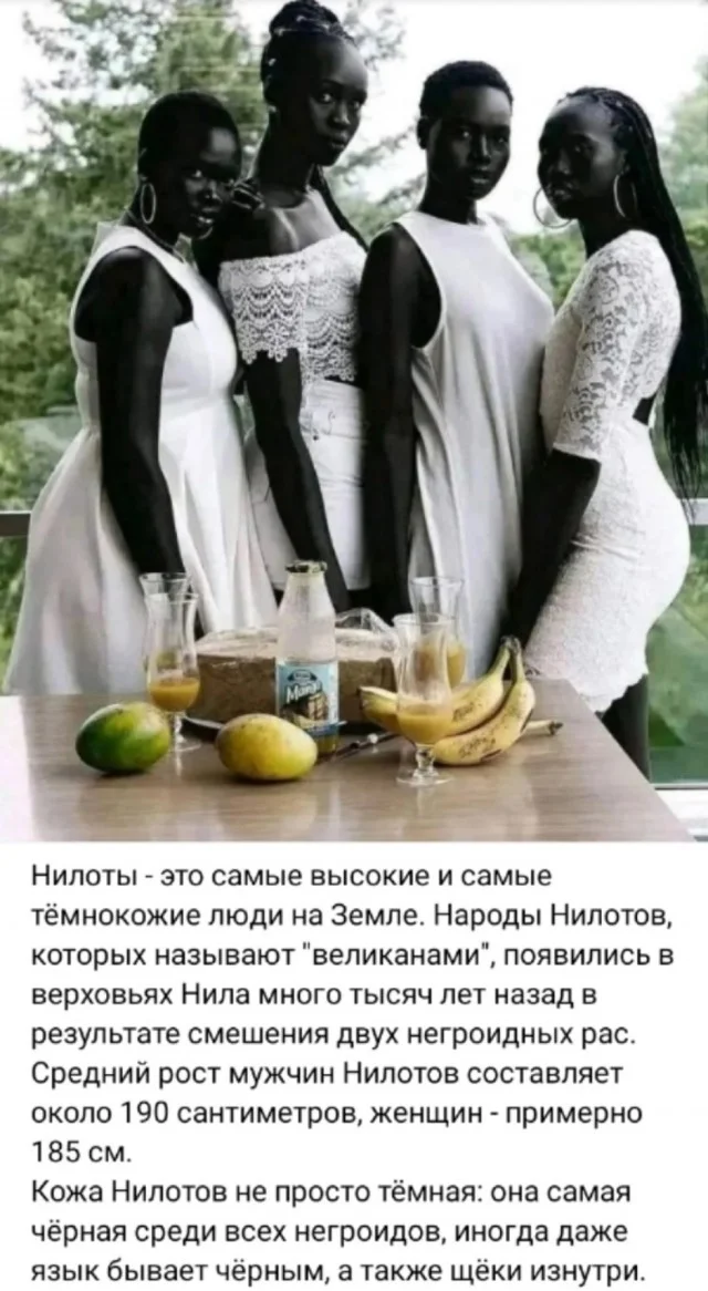 Классные приколы: свежо и смешно #4