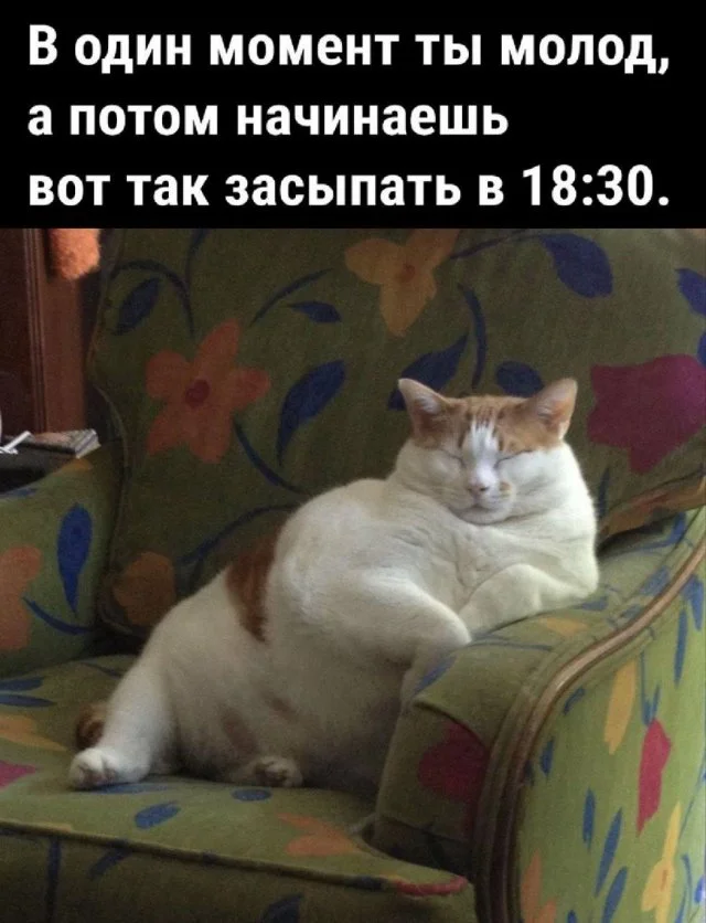 Легендарные мемы нулевых и десятых