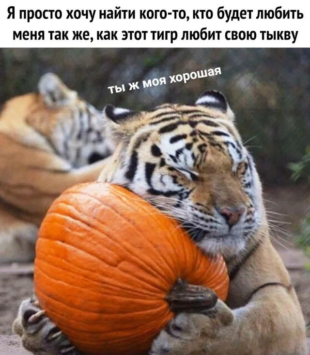 Картинки на для деградирования