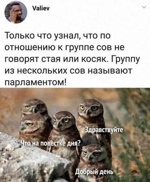 Давайте деградировать!