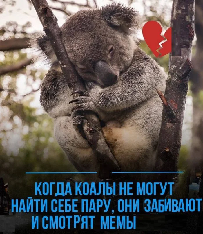 Нестандартный юмор #479