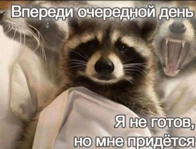 Ну давай деграднем