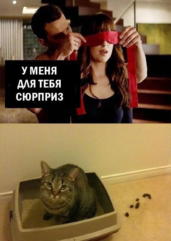 Нестандартный юмор #484