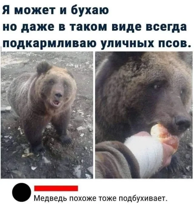 Картинки на каждый день