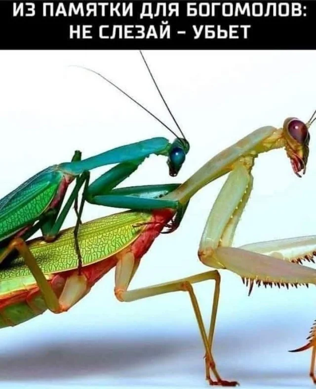 Очередная подборка мемов