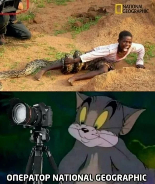 Мемы с ноткой деградации