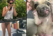 Оптические иллюзии на фото: 16 кадров, что легко запутают