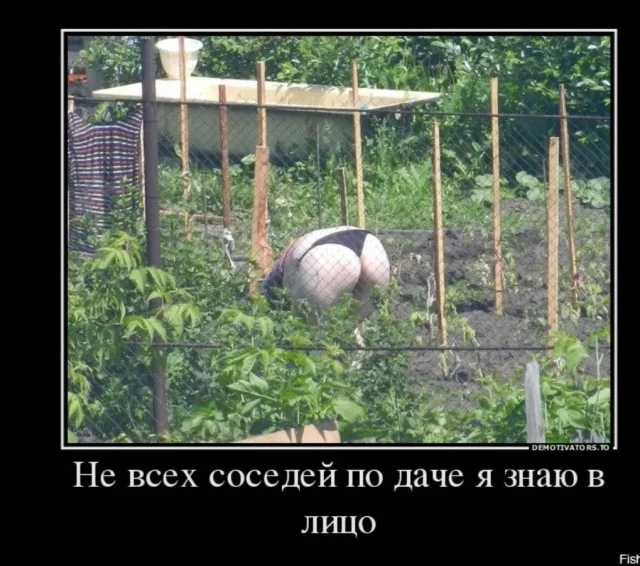 Юмор для реально взрослых