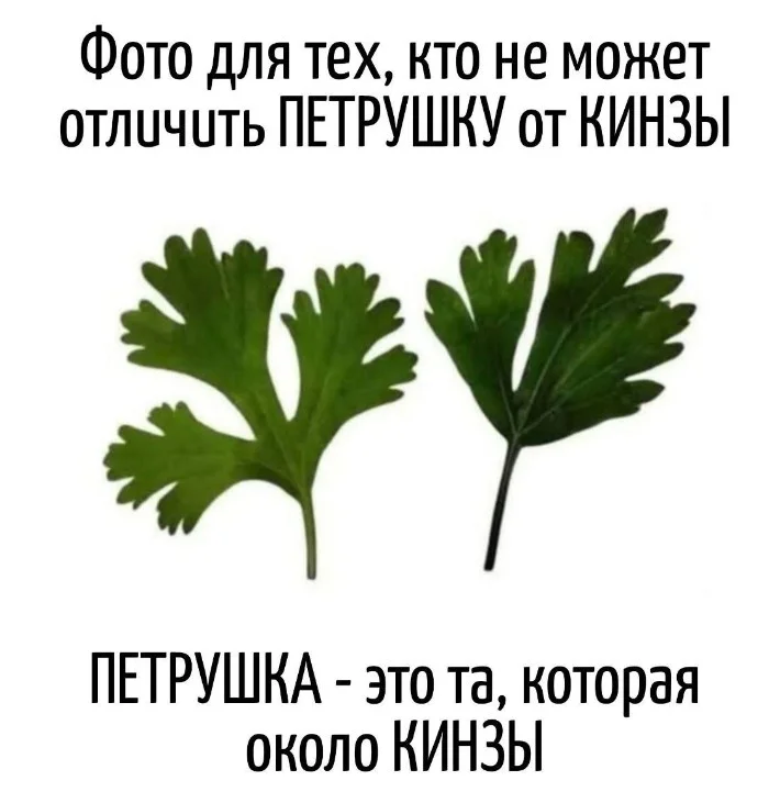 Игра слов – каламбуры, словесный юмор и прикольные картинки #118