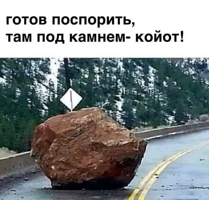 Осенняя коллекция кино-мемов Осенняя коллекция кино-мемов