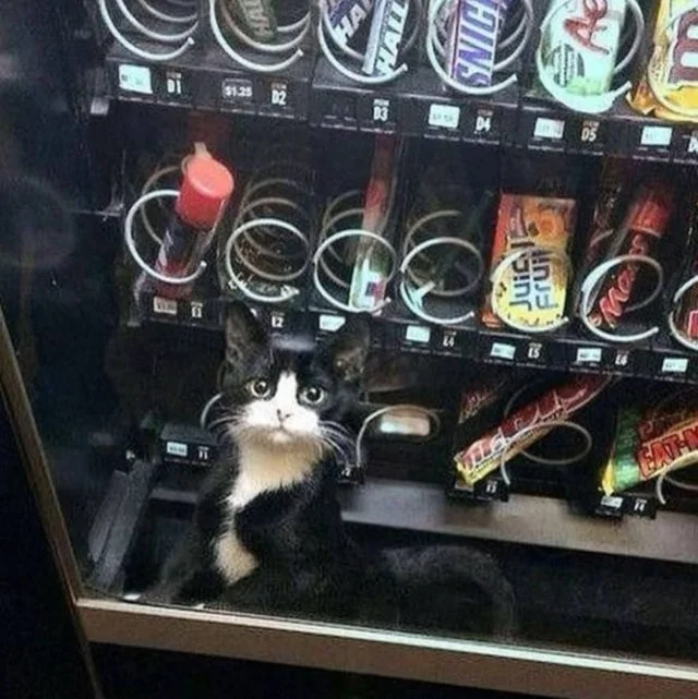 Смешные скрины из соцсетей #104 Смешные скрины из соцсетей #104