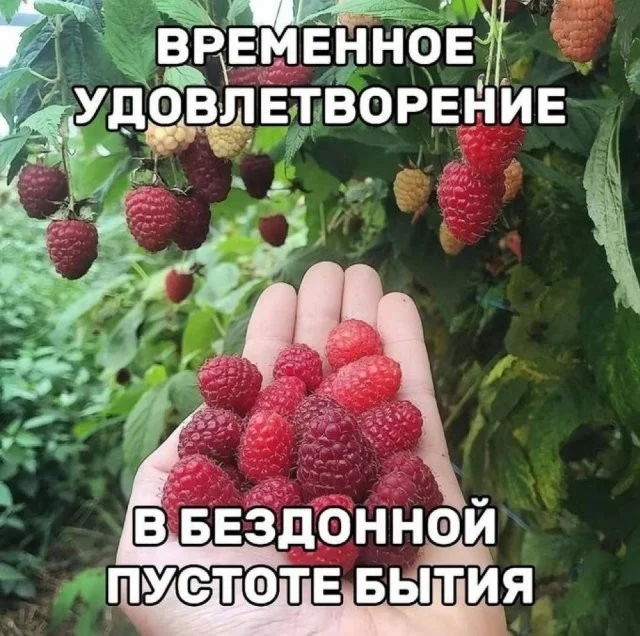 Смешные скрины из соцсетей #111