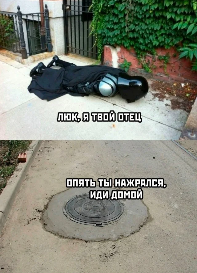 Мемы в ленту