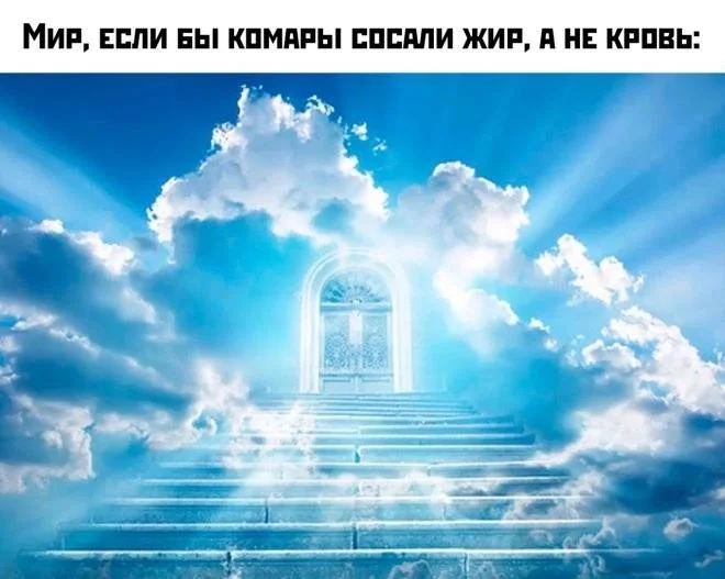 Нестандартный юмор #484