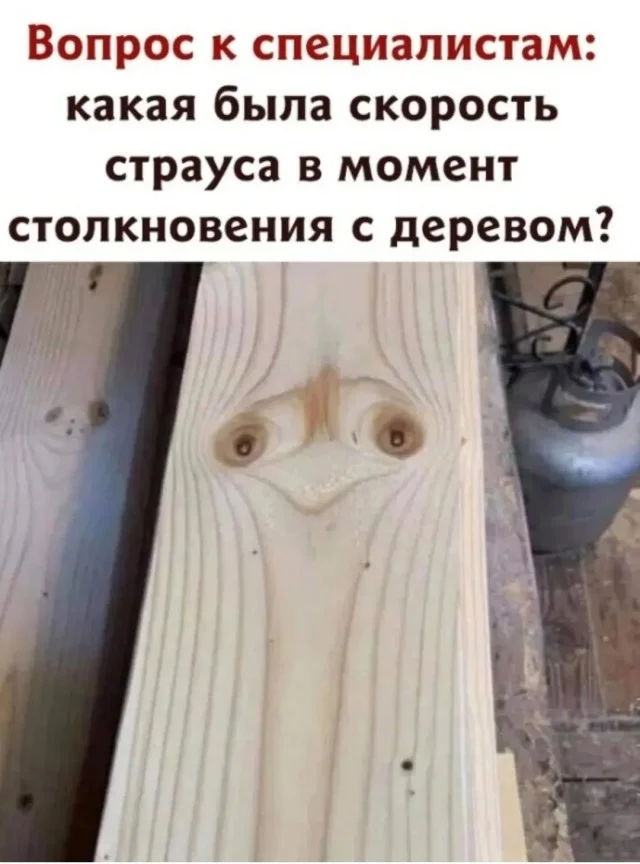 Чо, не смешно?! Смешно!