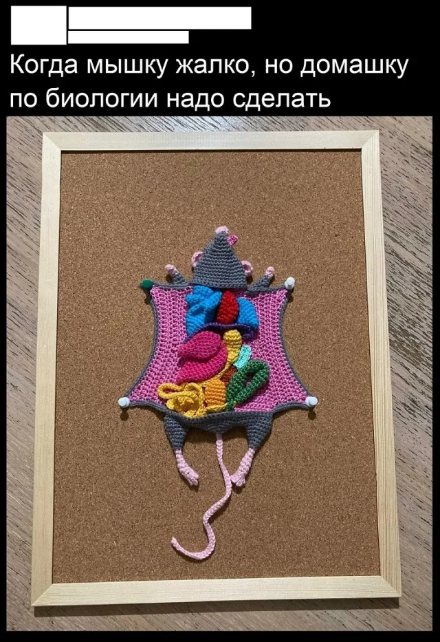 Класс! Юмор и приколы!