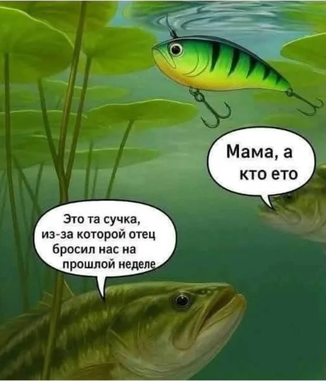 Класс! Юмор и приколы!