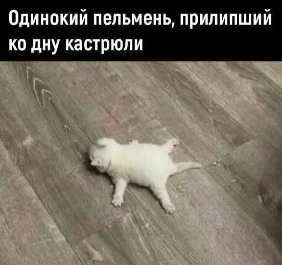 Свежие и актуальные мемы