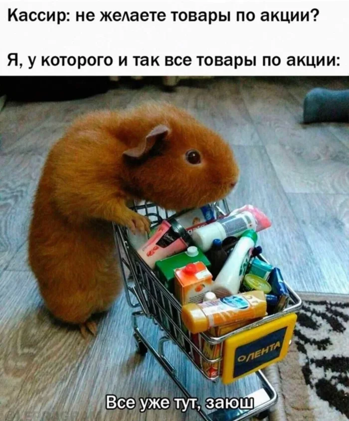 Нестандартный юмор #492 Нестандартный юмор #492