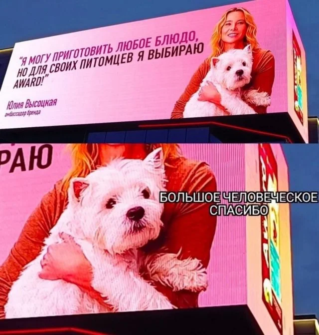 Смешные скрины из соцсетей #107