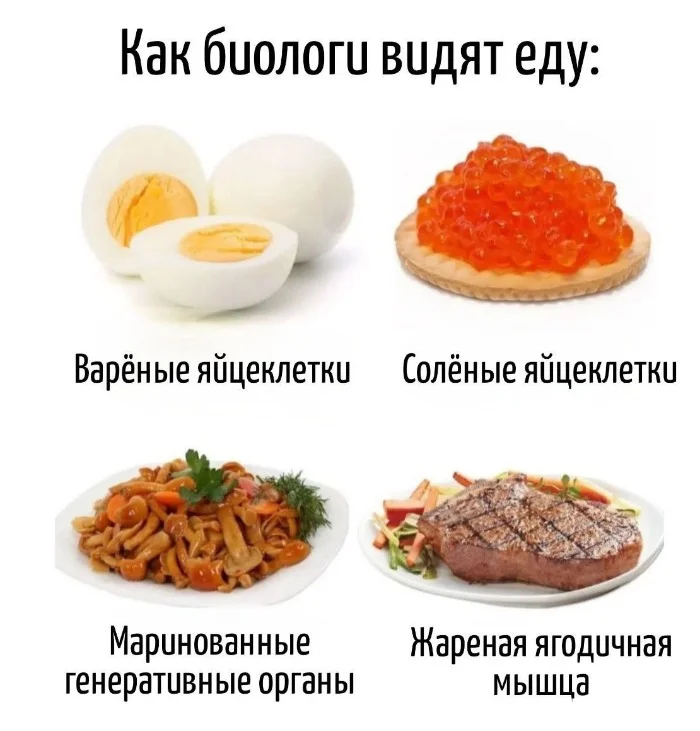 Игра слов – каламбуры, словесный юмор и прикольные картинки #117 Игра слов – каламбуры, словесный юмор и прикольные картинки #117