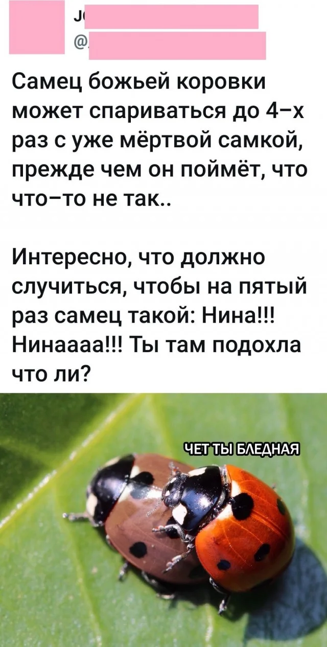 Свежо и актуально