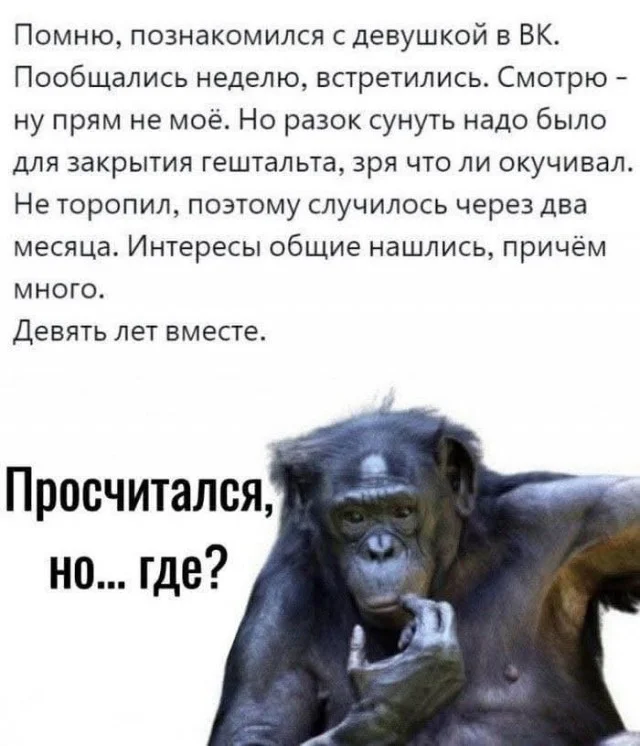 Деградирующие приколы