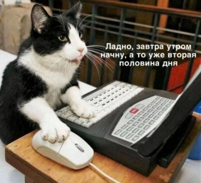 Картинки на для деградирования