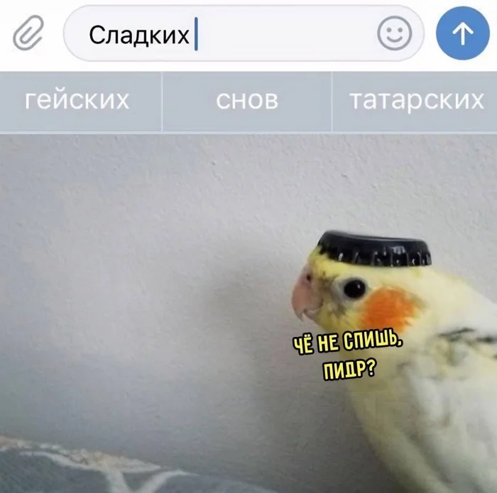 Нестандартный юмор #485