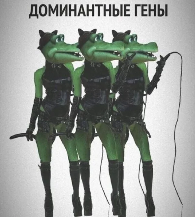 Ну давай деграднем