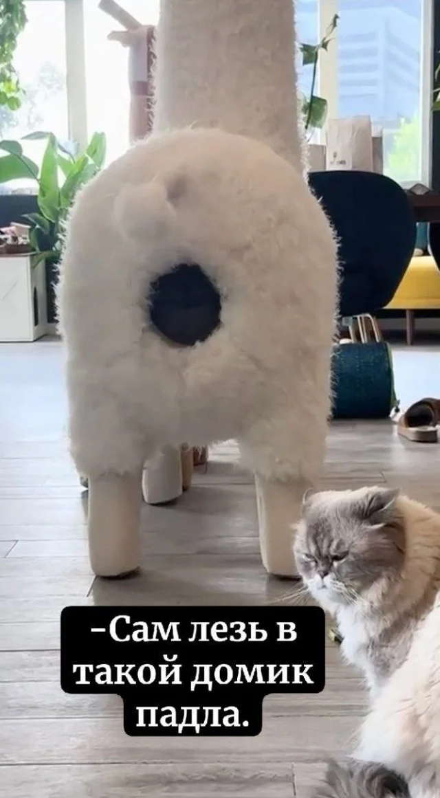 Держите баяны