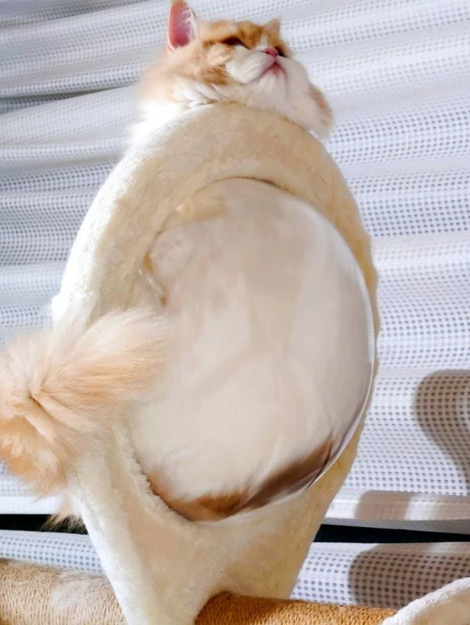 Оптические иллюзии на фото: 16 кадров, что легко запутают Оптические иллюзии на фото: 16 кадров, что легко запутают