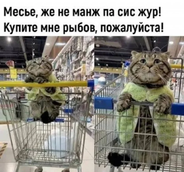 Деградульки