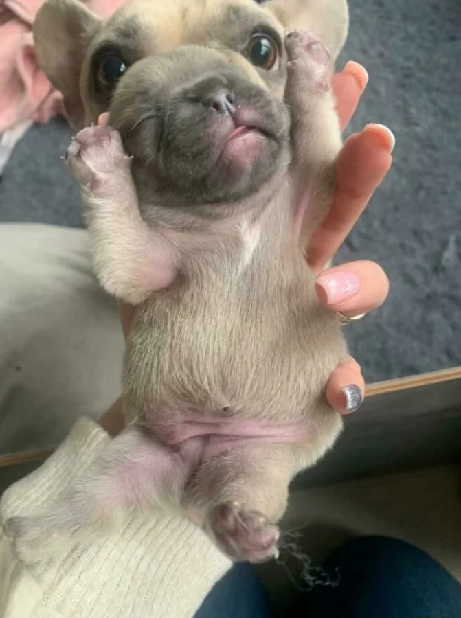 Оптические иллюзии на фото: 16 кадров, что легко запутают Оптические иллюзии на фото: 16 кадров, что легко запутают