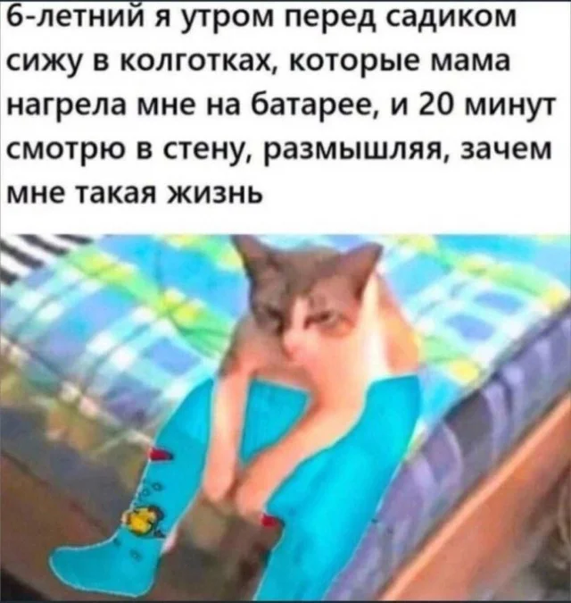 Тупость в картинках