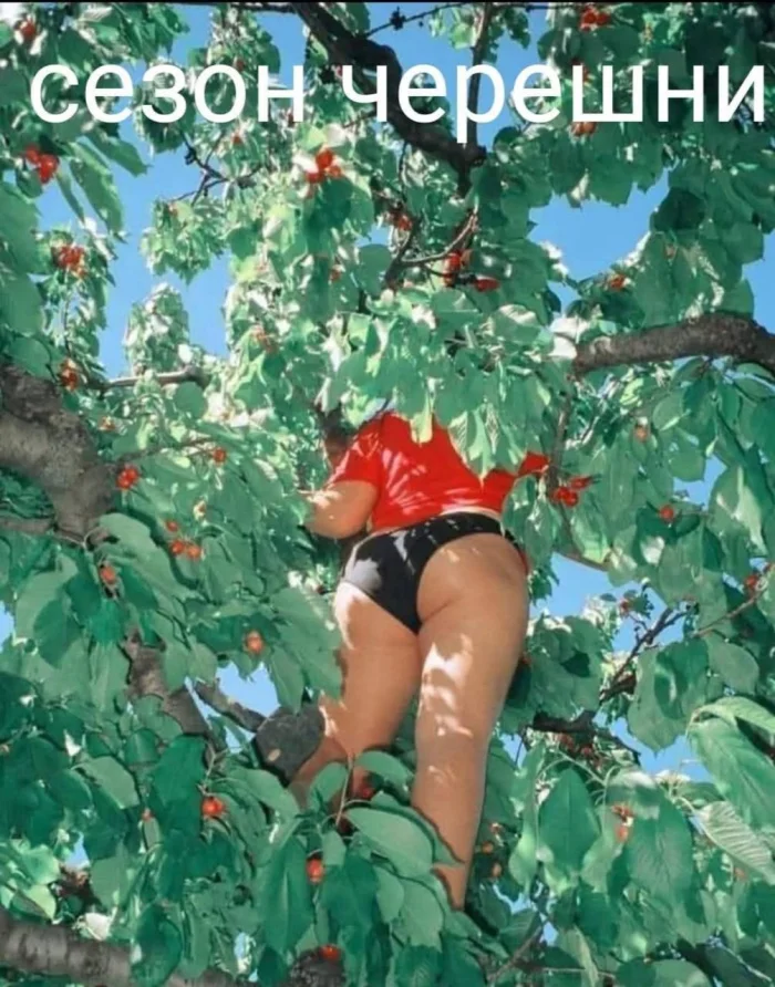 Нестандартный юмор #465