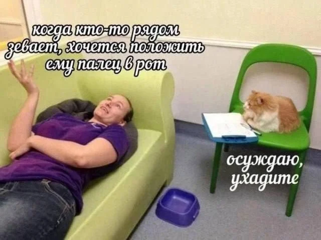 Деградация в мемах