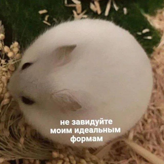 Смешные скрины из соцсетей #109 Смешные скрины из соцсетей #109