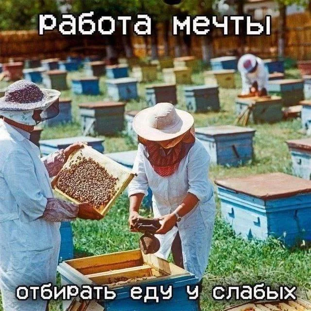 Нестандартный юмор #485