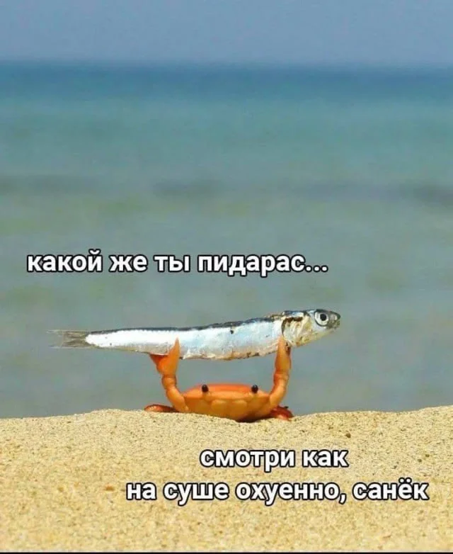 Нестандартный юмор #476 Нестандартный юмор #476