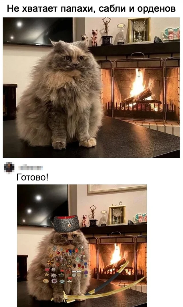 Мемы в ленту