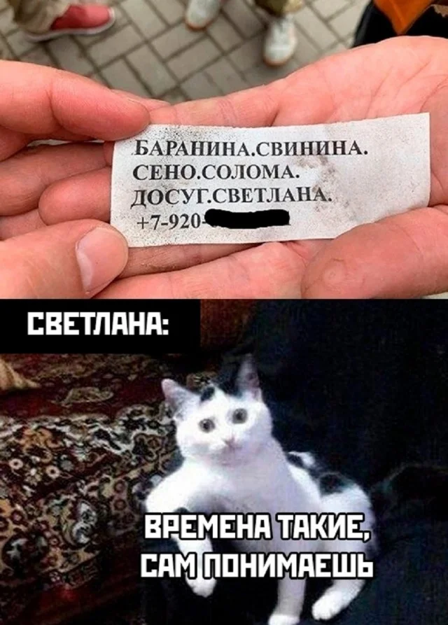 Мемные мемы