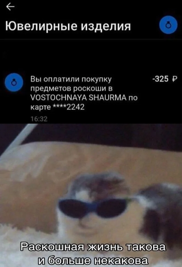 Классные приколы: свежо и смешно #1