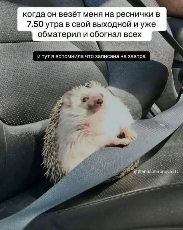 Отличные мемы