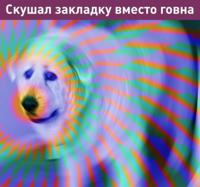 Нестандартный юмор #476 Нестандартный юмор #476